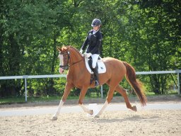 IMG_1134_web